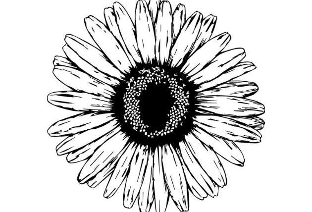 Chamomile: A herbal medicine of the past with bright future